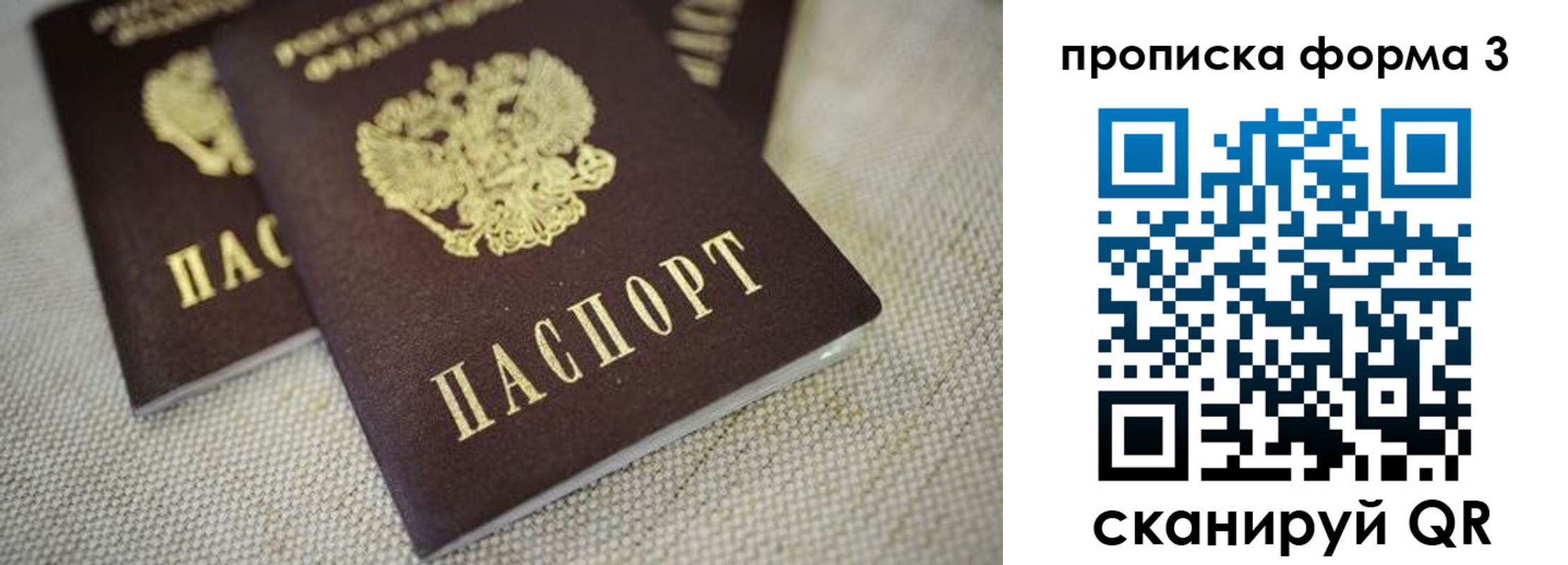 прописка поиск в Волгоградской области